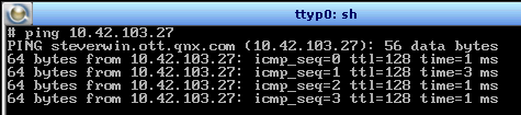 Running ping on the target